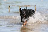 BEAUCERON 867